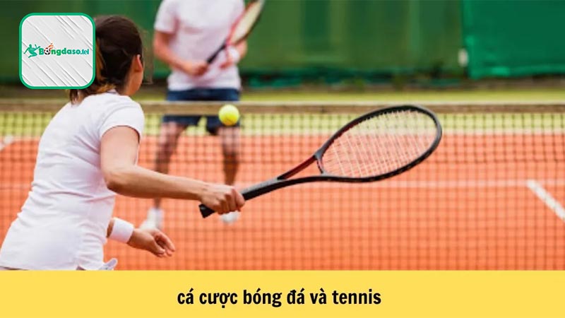 Cá cược Tennis là gì?