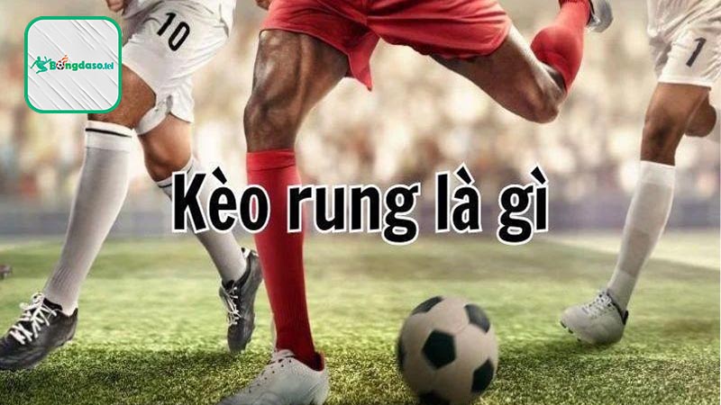 Giải thích kèo rung là gì?