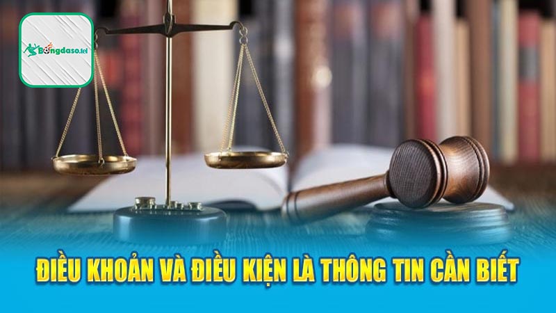 Định nghĩa của Điều Khoản Và Điều Kiện Bongdaso