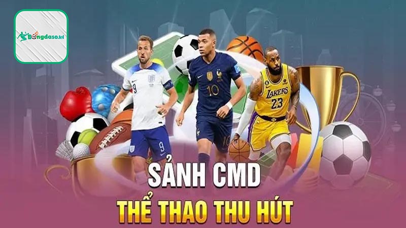 Yếu tố hấp dẫn của sảnh CMD Sports Bongdaso